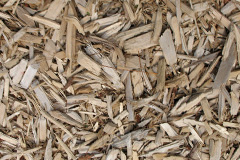 biomass boilers Tutnall